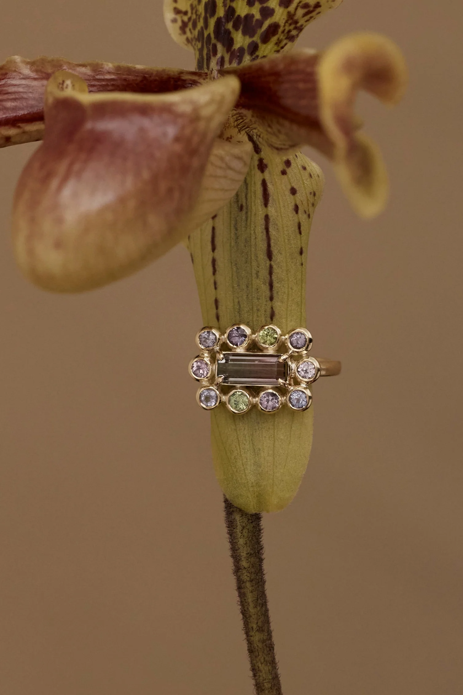 Tourmaline & Sapphire Halo Band - Image 3